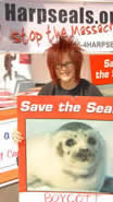 Harp Seal Protest