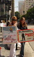 Harp Seal Protest