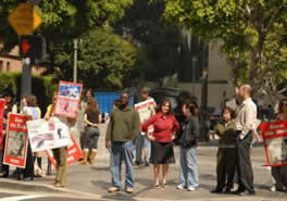 Harp Seal Protest