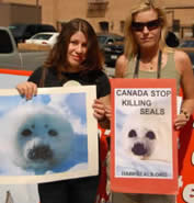 Harp Seal Protest