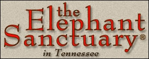The Elephant Sanctuary